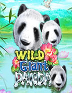 วิธีเล่น cleopatra slot demo สุดมันส์แห่งปี!